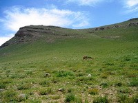 برخی از سیاسیون با تحت فشار قرار دادن مسئولان منابع طبیعی مانع حفظ آن می‌شوند