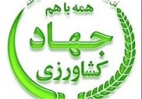 سرما به 597 هکتار از اراضی کشاورزی خسارت سبزوار وارد کرد